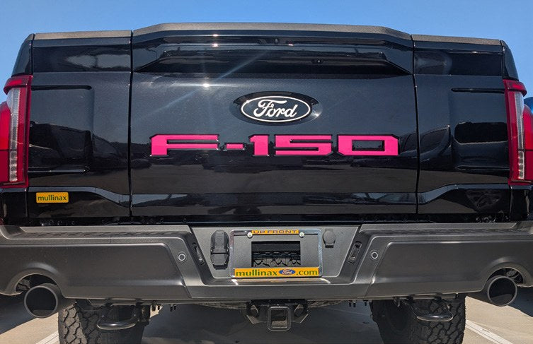 F-150 2021-2027 TAILGATE LETTERING - PINK FOR PRO-ACCESS TAILGATE