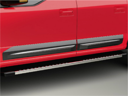 F-150 2015-2019 DOOR MOLDING KIT — CREW CAB
